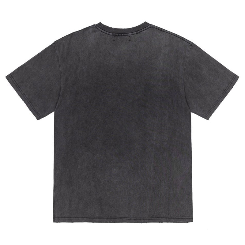 AMRI High Lion T-Shirt